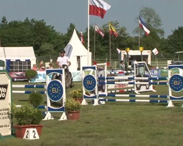 Nord-Ost-Pferd 2015