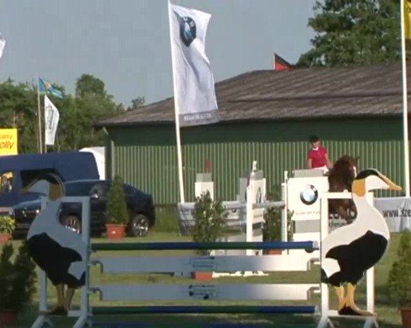 Nord-Ost-Pferd 2015