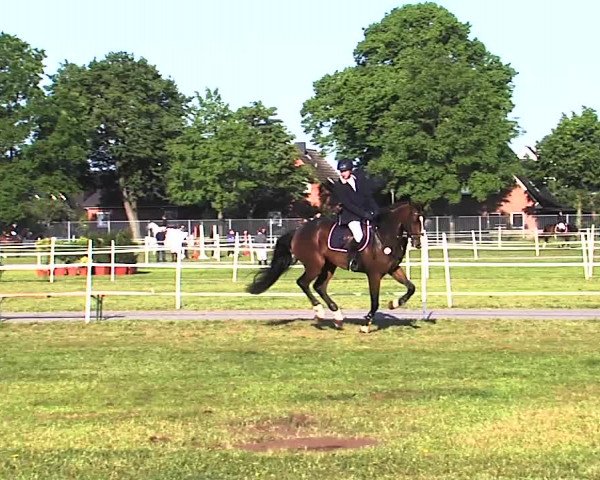 Nord-Ost-Pferd 2015