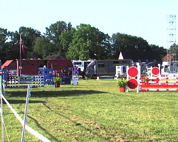 Nord-Ost-Pferd 2015