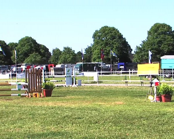 Nord-Ost-Pferd 2015