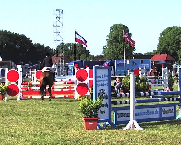 Nord-Ost-Pferd 2015