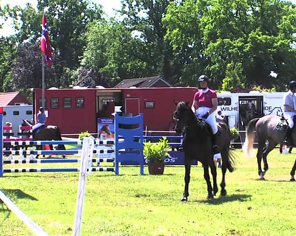 Nord-Ost-Pferd 2015