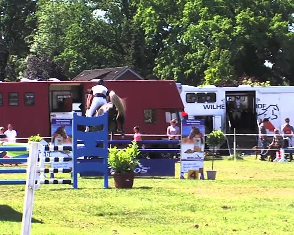Nord-Ost-Pferd 2015