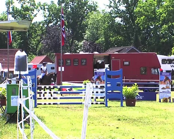 Nord-Ost-Pferd 2015