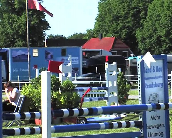 Nord-Ost-Pferd 2015