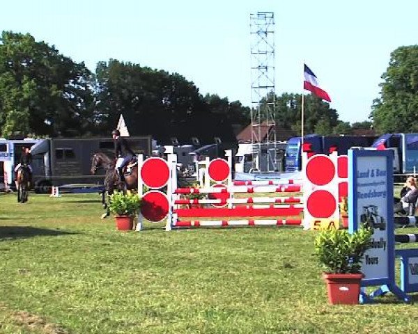 Nord-Ost-Pferd 2015