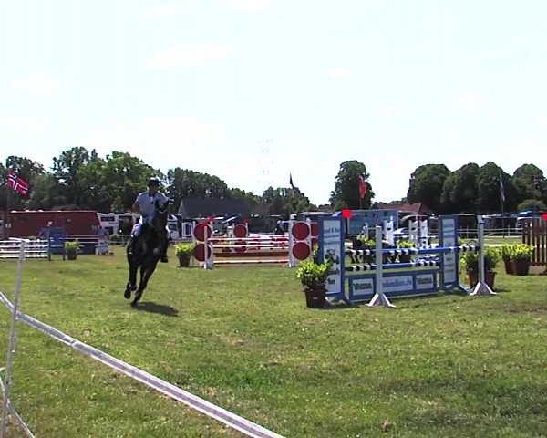 Nord-Ost-Pferd 2015