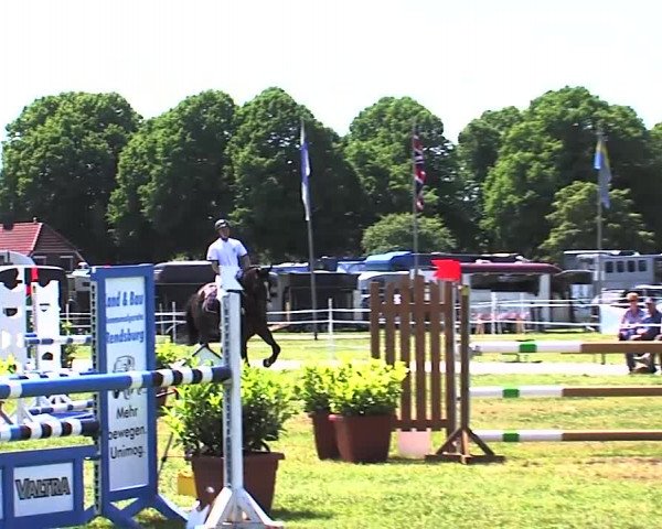 Nord-Ost-Pferd 2015
