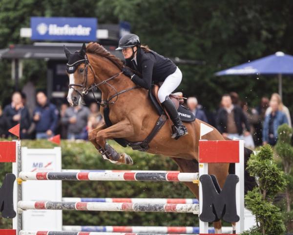 Cavallo da salto Ophelia KB (Oldemburghese, 2018, di Ogano Sitte)