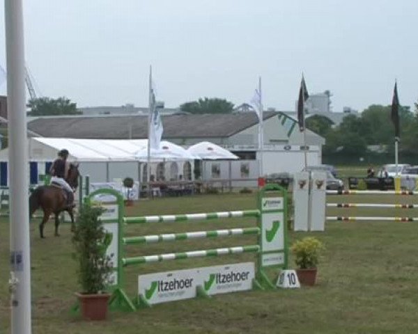 Nord-Ost-Pferd 2015