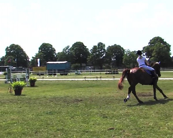 Nord-Ost-Pferd 2015