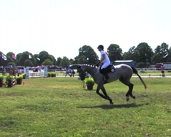 Nord-Ost-Pferd 2015
