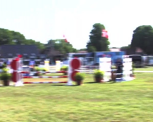 Nord-Ost-Pferd 2015