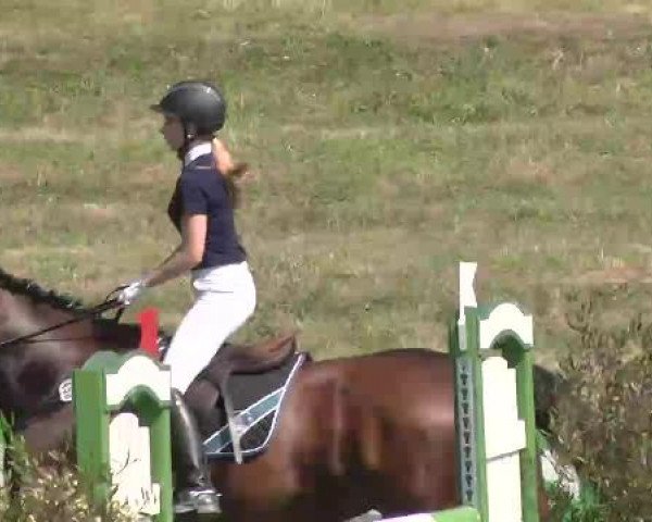 Sommerturnier Legelshurst 2015