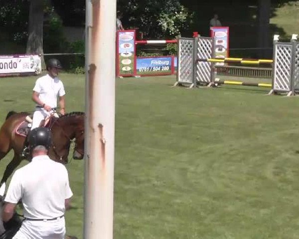 Sommerturnier Legelshurst 2015