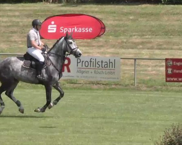 Sommerturnier Legelshurst 2015