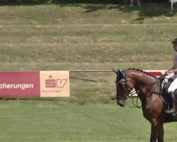 Sommerturnier Legelshurst 2015