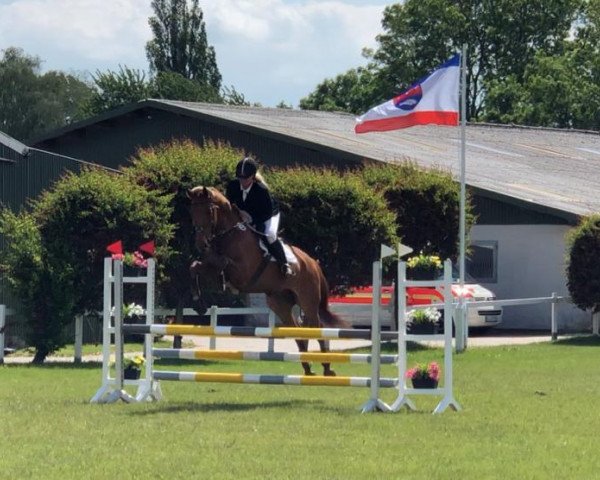 jumper Lorio 33 (German Sport Horse, 2010, from Liberator 2574)