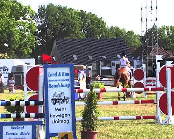 Nord-Ost-Pferd 2015