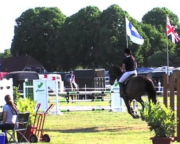 Nord-Ost-Pferd 2015