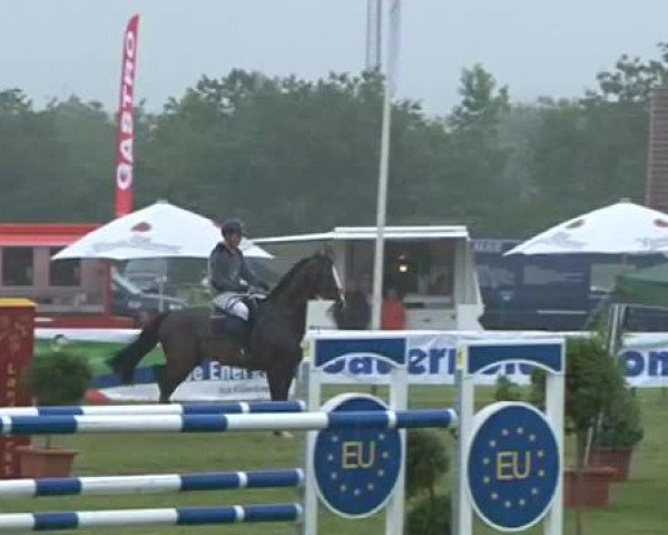 Nord-Ost-Pferd 2015