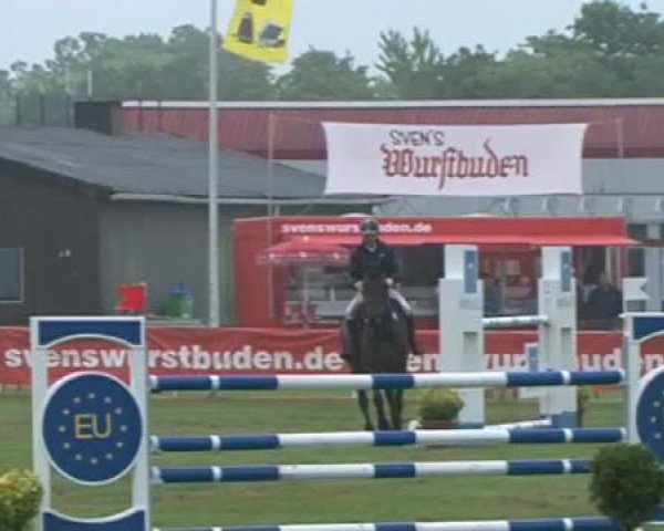 Nord-Ost-Pferd 2015