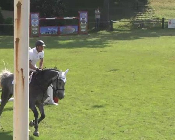 Sommerturnier Legelshurst 2015