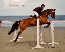 jumper Richmond Park D (Westphalian, 2006, from Rubin Royal OLD)