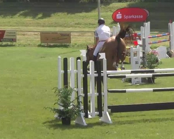 Sommerturnier Legelshurst 2015