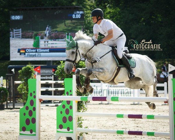 jumper Floyd 71 (KWPN (Royal Dutch Sporthorse), 2009, from Guccio)