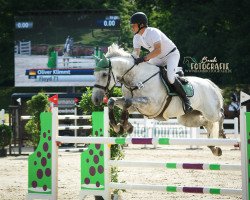 Springpferd Floyd 71 (KWPN (Niederländisches Warmblut), 2009, von Guccio)