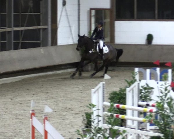 Reitturnier Langenfeld - Gut Langfort 2021