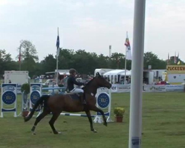 Nord-Ost-Pferd 2015