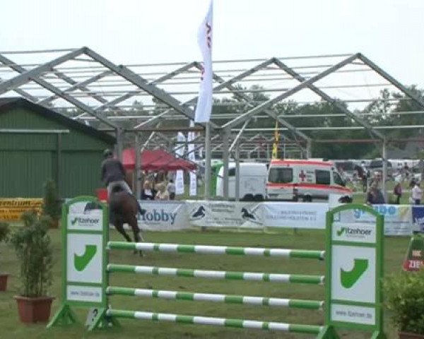 Nord-Ost-Pferd 2015