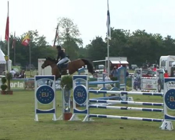 Nord-Ost-Pferd 2015
