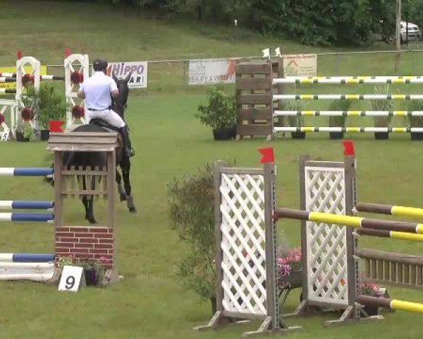 Sommerturnier Legelshurst 2015
