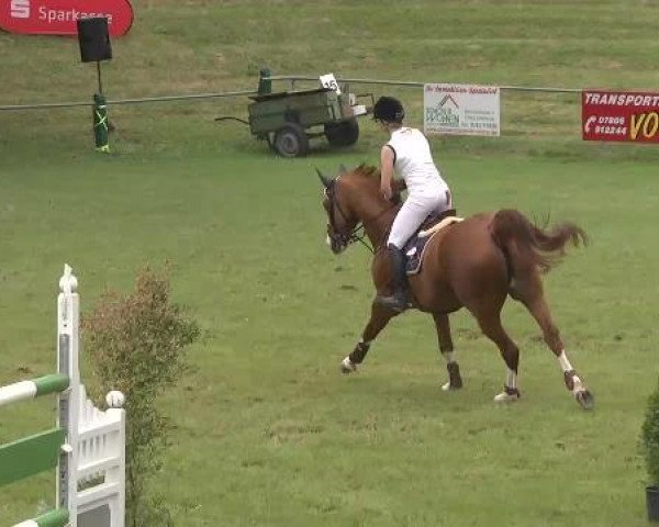 Sommerturnier Legelshurst 2015