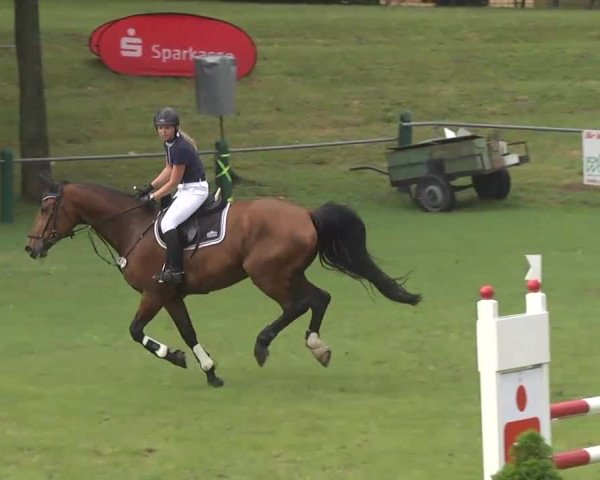 Sommerturnier Legelshurst 2015
