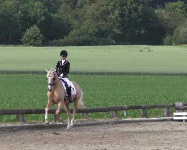Ponyturnier Billerbeck 2015