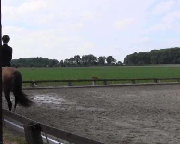Ponyturnier Billerbeck 2015