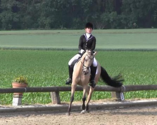 Ponyturnier Billerbeck 2015