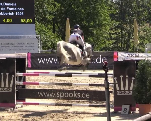 Düsseldorfer Reitertage 2015