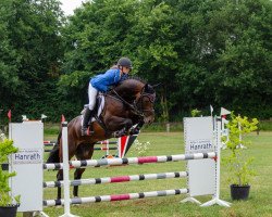 jumper Catch My Heart O (Westphalian, 2015, from Cornet Obolensky)