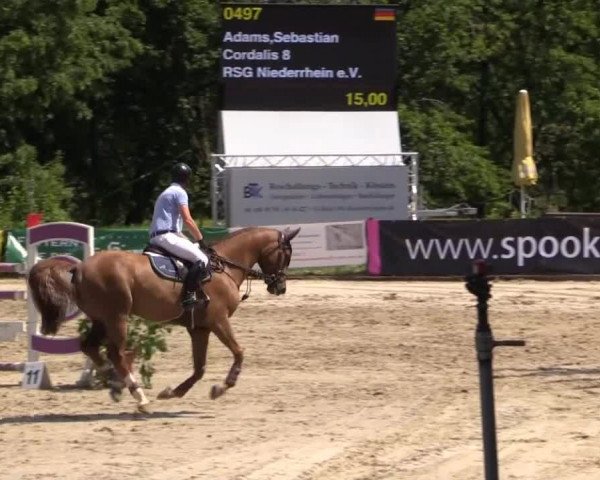 Düsseldorfer Reitertage 2015