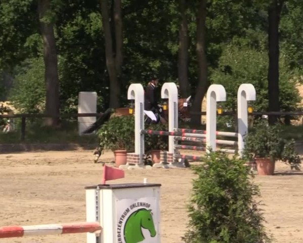Düsseldorfer Reitertage 2015