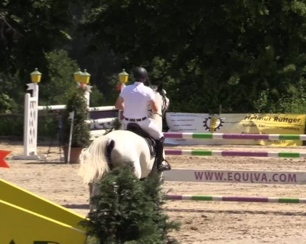 Düsseldorfer Reitertage 2015