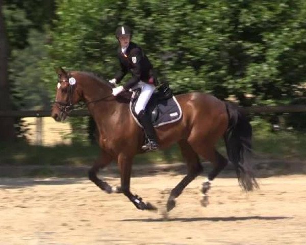 Düsseldorfer Reitertage 2015