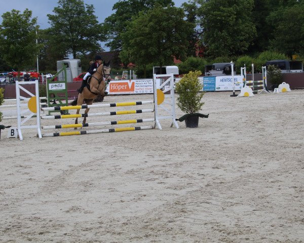 broodmare Night Affair (German Riding Pony, 2012, from Nobel Nagano NRW)