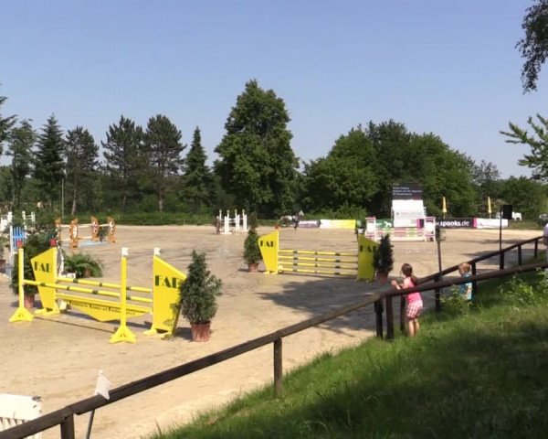 Düsseldorfer Reitertage 2015
